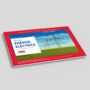 Resumen Ejecutivo 18 de julio 2022 | Energía Eléctrica